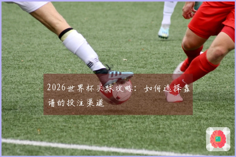 2026世界杯买球攻略：如何选择靠谱的投注渠道