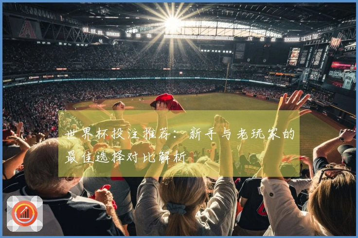 世界杯投注推荐：新手与老玩家的最佳选择对比解析