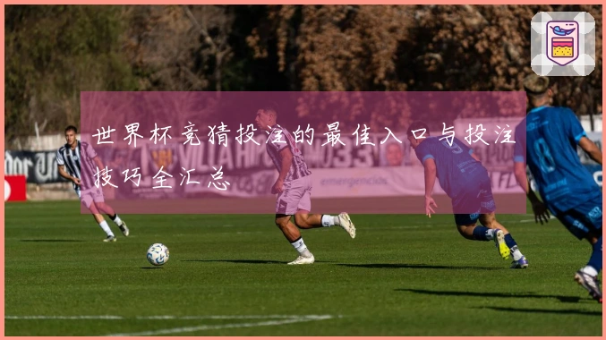 世界杯竞猜投注的最佳入口与投注技巧全汇总