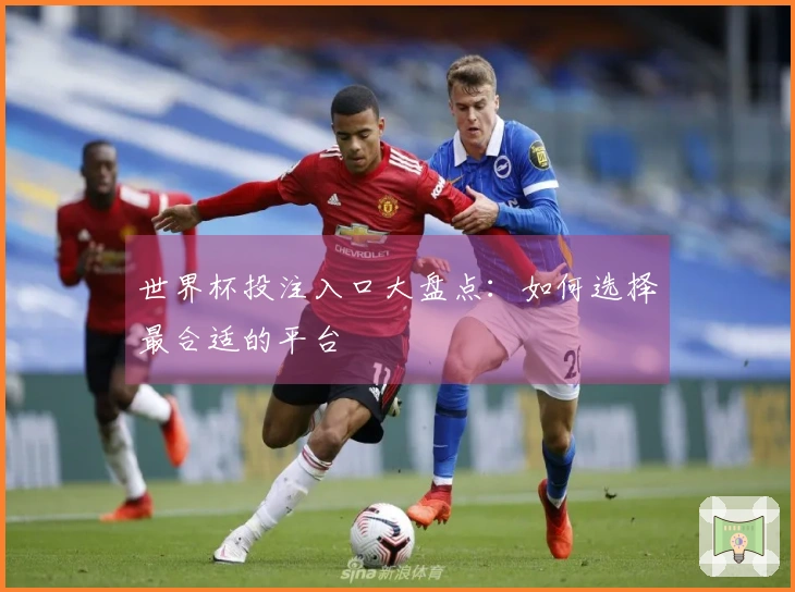 世界杯投注入口大盘点：如何选择最合适的平台