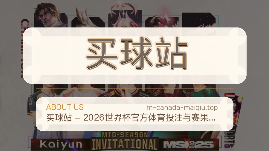 关于 买球站 团队与服务